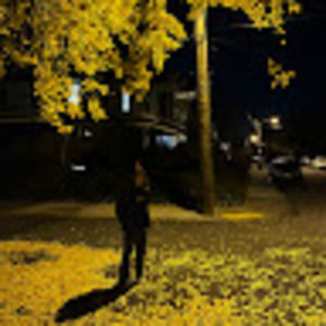 Meet your Posher, Sarai